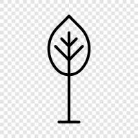 Arbor, Foliage, Plant, Bush icon svg