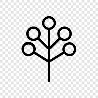 Arbor, Fruits, Flowers, Leaves icon svg