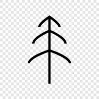 arbor, bough, branch, cone icon svg