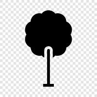 Baum, Laub symbol