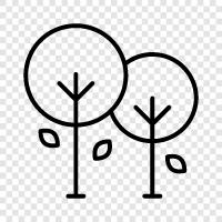 arbor, bough, branch, leaves icon svg