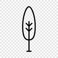 arbor, bough, branches, foliage icon svg