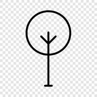 Arbor, Foliage, Leaf, Branch icon svg