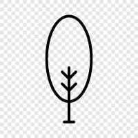 Arbor, Foliage, Leaf, Branch icon svg