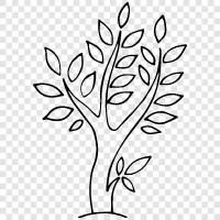 Arbor, Fruiting Body, Leaf, Branch icon svg