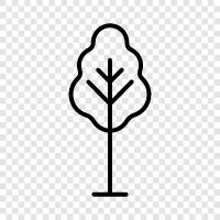 Baum, Laub, Blatt, Zweig symbol