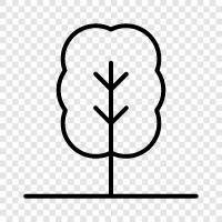 Arbor, Foliage, Growth, Branch icon svg