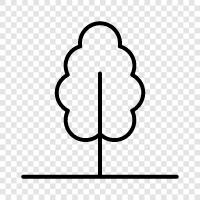 arbor, bough, branch, crown icon svg