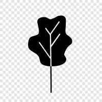 Arbor, Foliage, Leaves, Bark icon svg