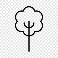 Baum, Laub, Blatt symbol