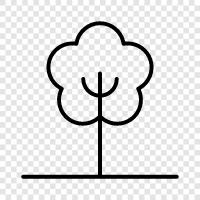 Laub, Zweige, Blätter, Baum symbol