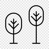 Arbor, Foliage, Branches, Leaves icon svg