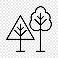 arbor, bough, branch, trunk icon svg