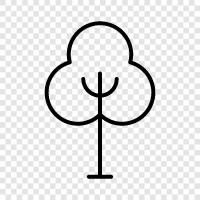 Baum, Laub, Blüten, Blatt symbol