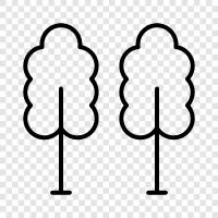 Baum, Laub, Blatt symbol