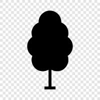 arbor, bough, branch, trunk icon svg