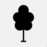 Arbor, Tree Plant, Tree Branch, Tree Trunk icon svg