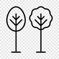 Arbor, Fruits, Nuts, Tree icon svg