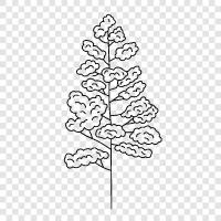 Арбор, листья, ветки, дерево Значок svg