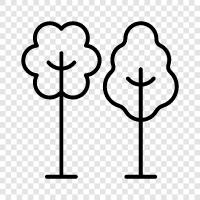 Arbor, Foliage, Leaf, Branch icon svg