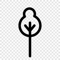 Arbor, Foliage, Leaf, Branch icon svg