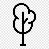 Arbor, Foliage, Plant, Wood icon svg