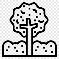 Baum, Laub symbol