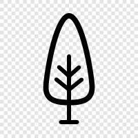 Arbor, Foliage, Leaf, Branch icon svg