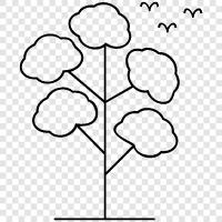 Arbor, Fruiting, Branch, Leaf icon svg