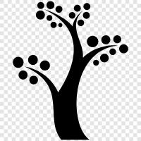 Arbor, Foliage, Leaf, Branch icon svg