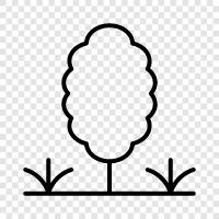 Arbor, Fertilize, Prune, Tree icon svg