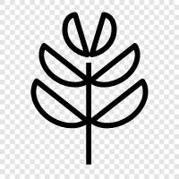 Arbor, Foliage, Leaves, Branch icon svg