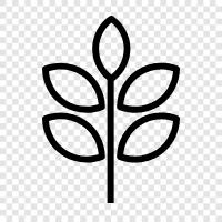 Arbor, Foliage, Leaves, Branch icon svg