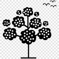 Arbor, Foliage, Branches, Leaves icon svg