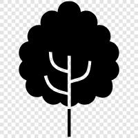 Arbor, Foliage, Leaf, Shrub icon svg