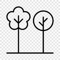 Arbor, Foliage, Shrub, Plant icon svg