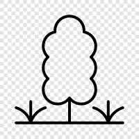 Arbor, Foliage, Leaf, Branch icon svg