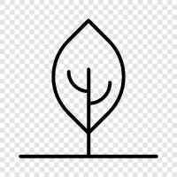 arbor, bough, branch, fruit icon svg