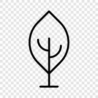 Arbor, Hedge, Fence, Branches icon svg