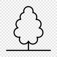 Arbor, Plant, Fruits, Tree Stump icon svg