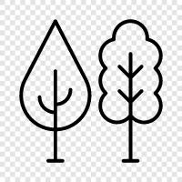 arbor, bough, branch, crown icon svg