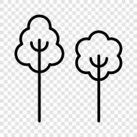 Arbor, Foliage, Leaf, Branch icon svg