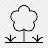 Arbor, Foliage, Leaf, Branch icon svg