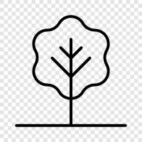 Baum, Laub, Nadeln, Saft symbol