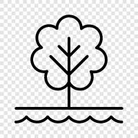 Arbor, Foliage, Leaf, Branch icon svg