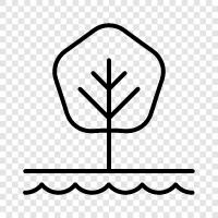 Arbor, Foliage, Leaf, Branch icon svg