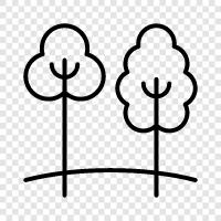 arbor, bough, branch, foliage icon svg