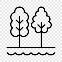 Arbor, Forest, Nature, Forests icon svg