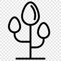 Baum, Laub, Blatt, Bark symbol