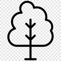 Arbor, Blätter, Wachstum, Schattierung Arbor symbol